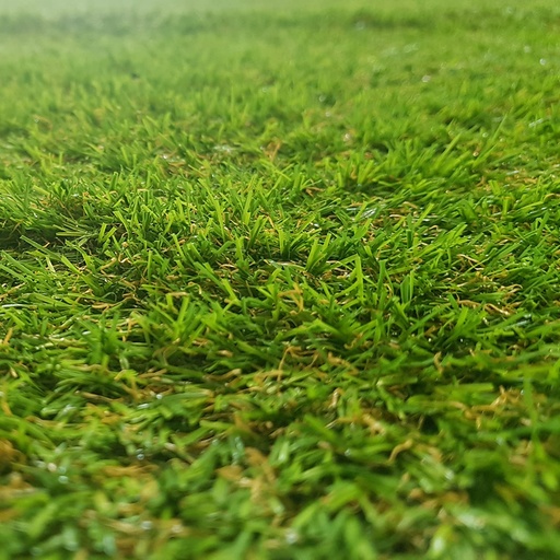 catifa PASTO CONFORT (2m)