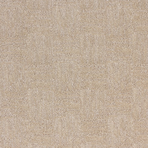 catifa Alfombra PRINCENTON